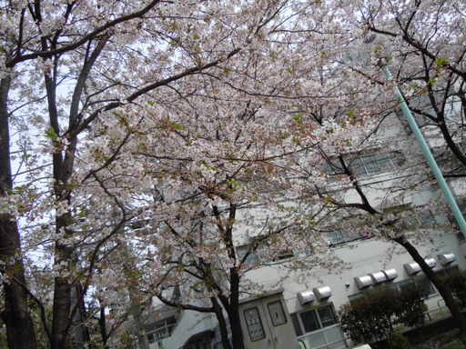 笄公園