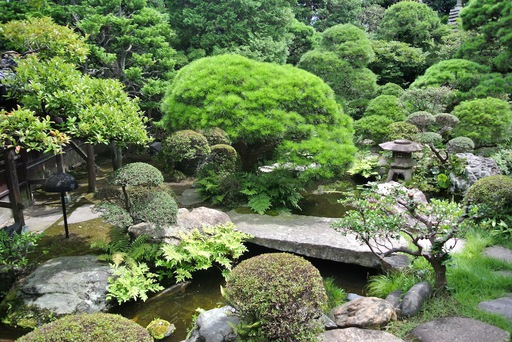 庭園