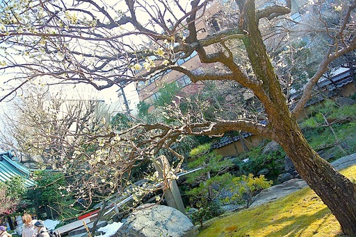 梅祭り
