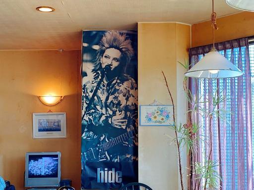 HIDE