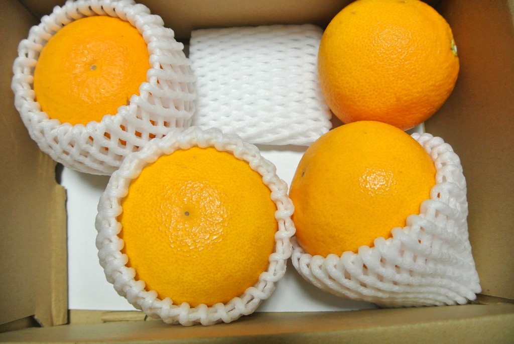 http://sweets.tokyo-review.com/image/DSC_1293.JPG
